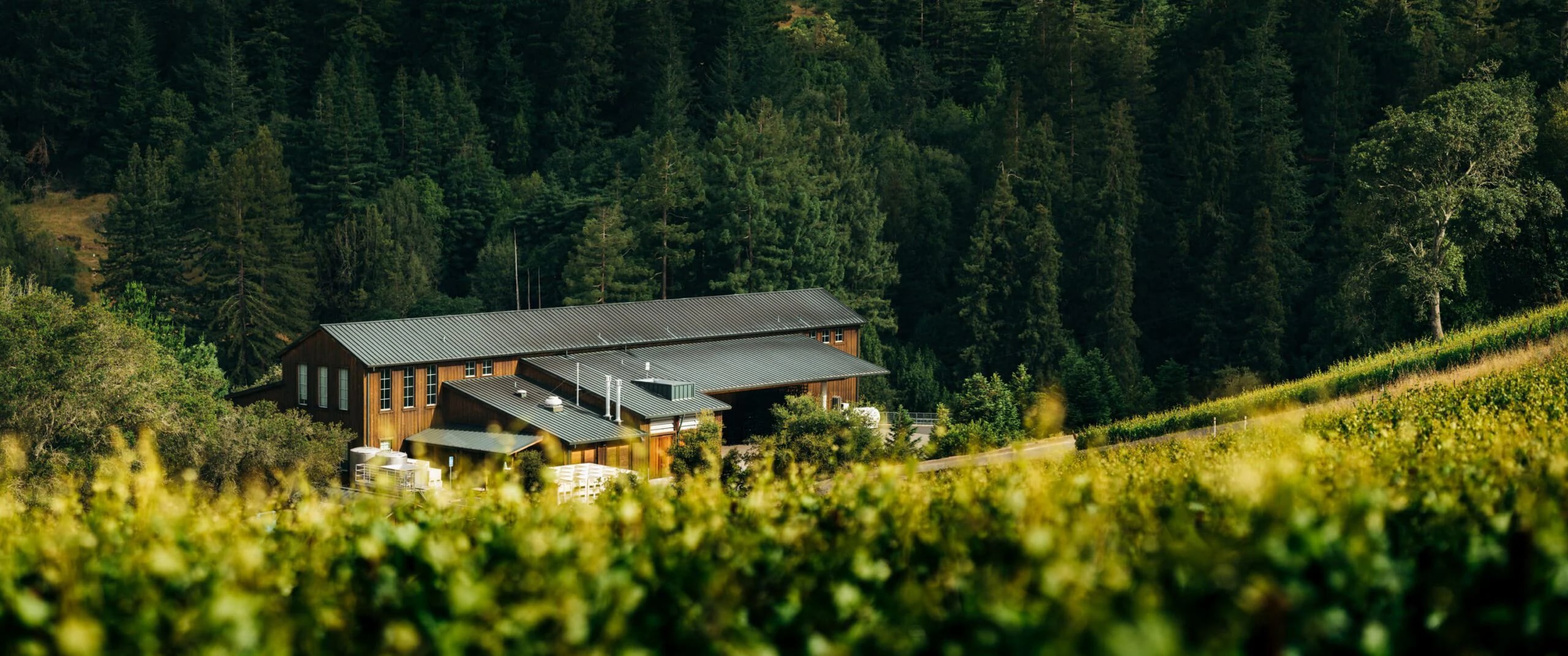 Freestone winery exterior