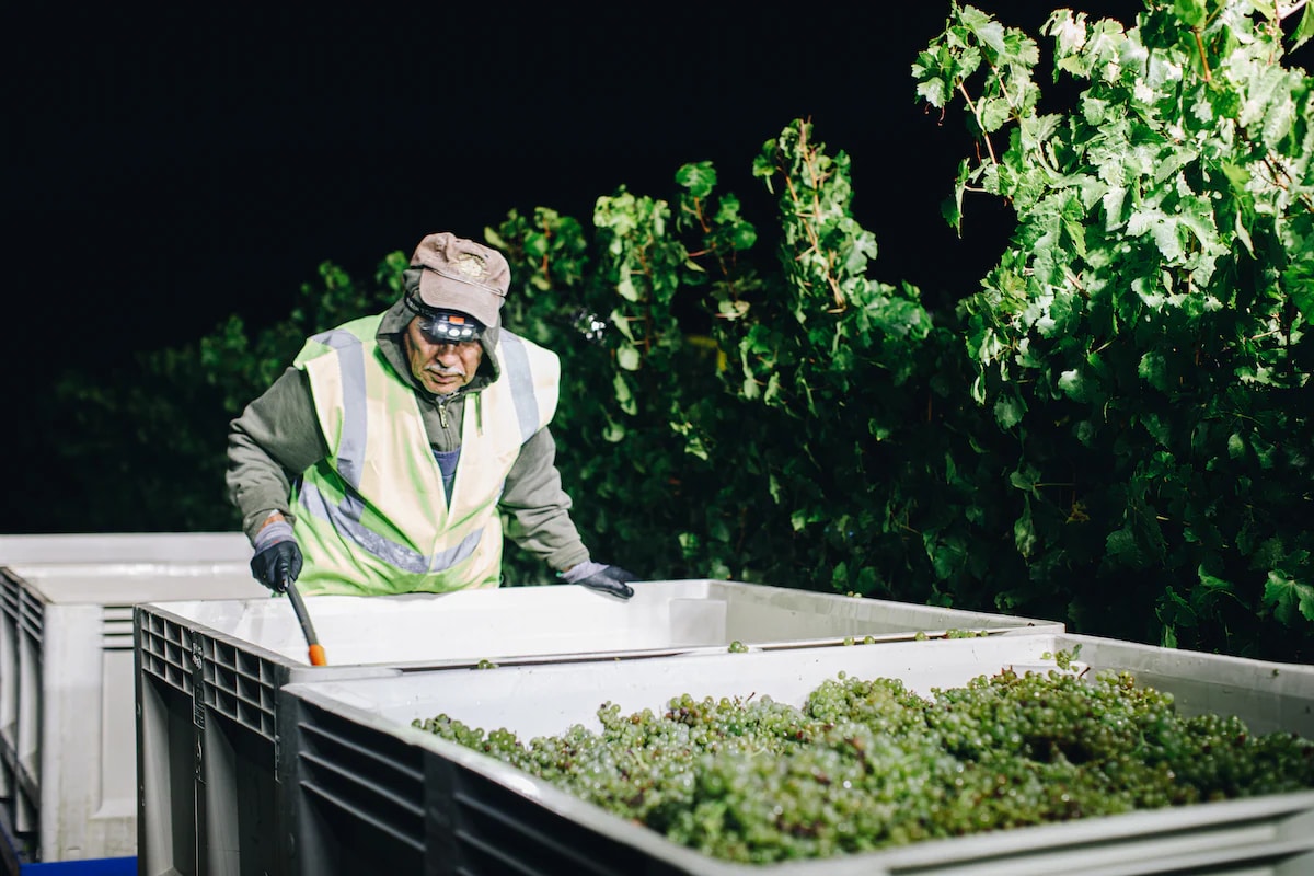 2025-harvest.webp