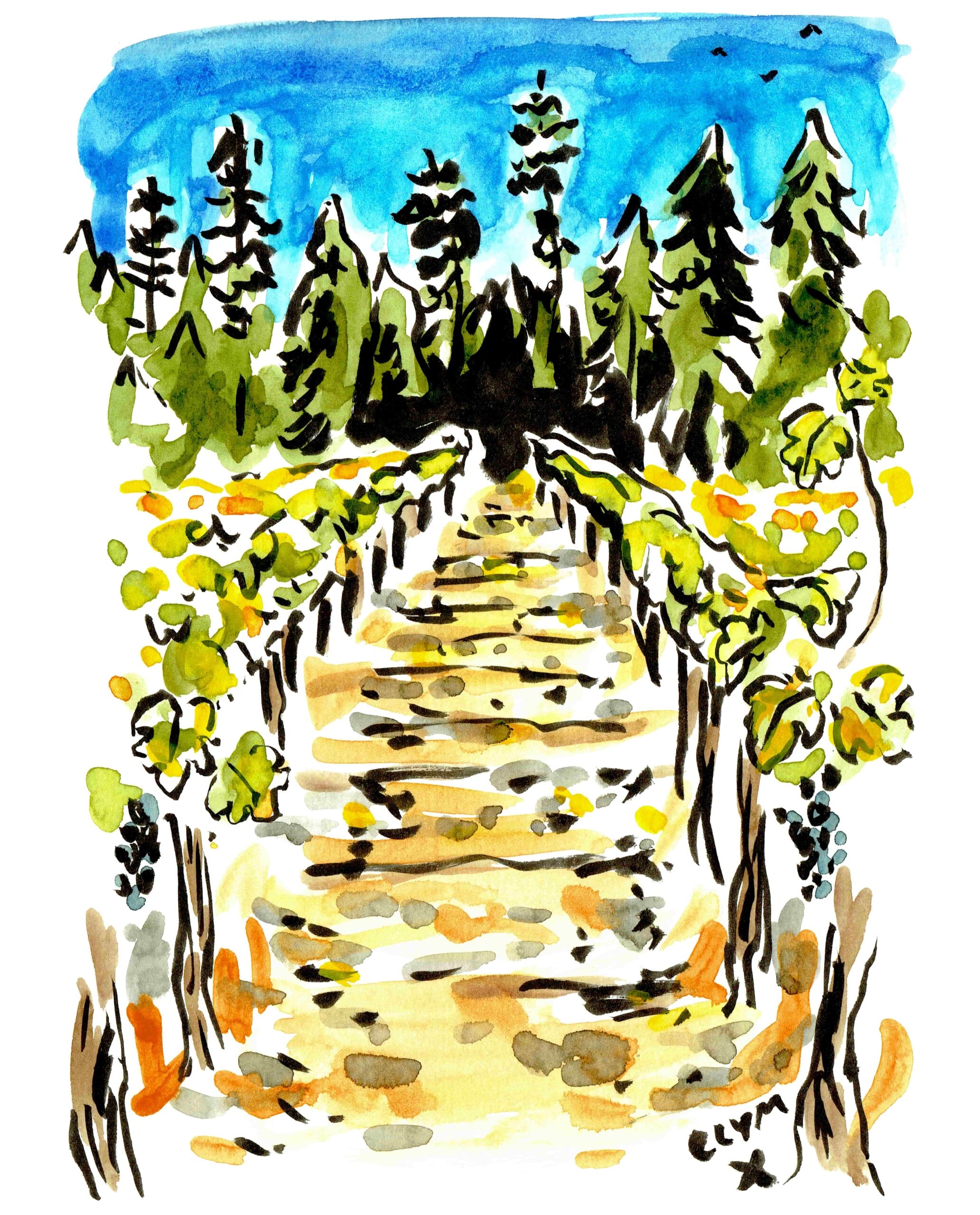 Freestone, Sonoma-min