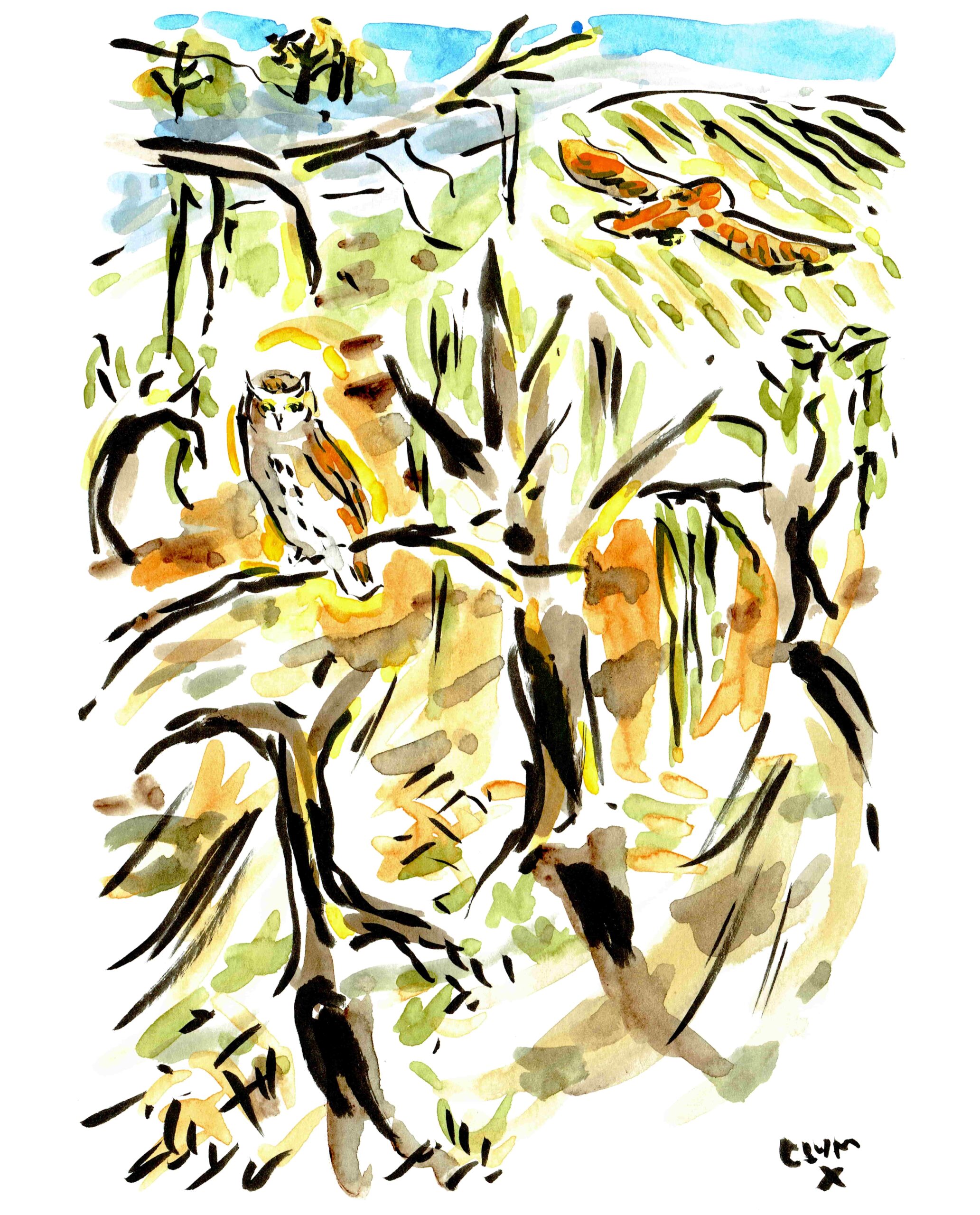 Home Ranch with birds-min