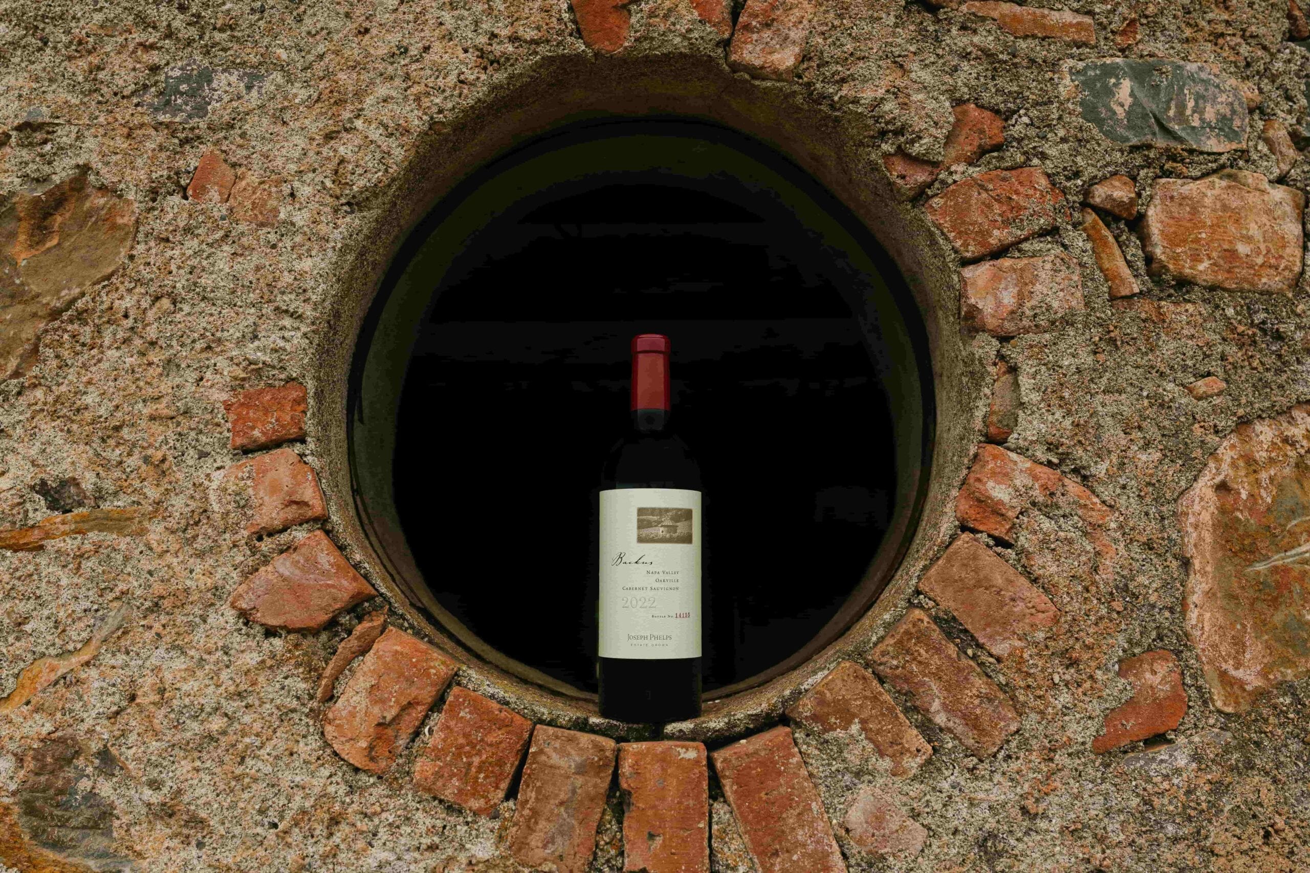 JosephPhelps-July2025-40-min