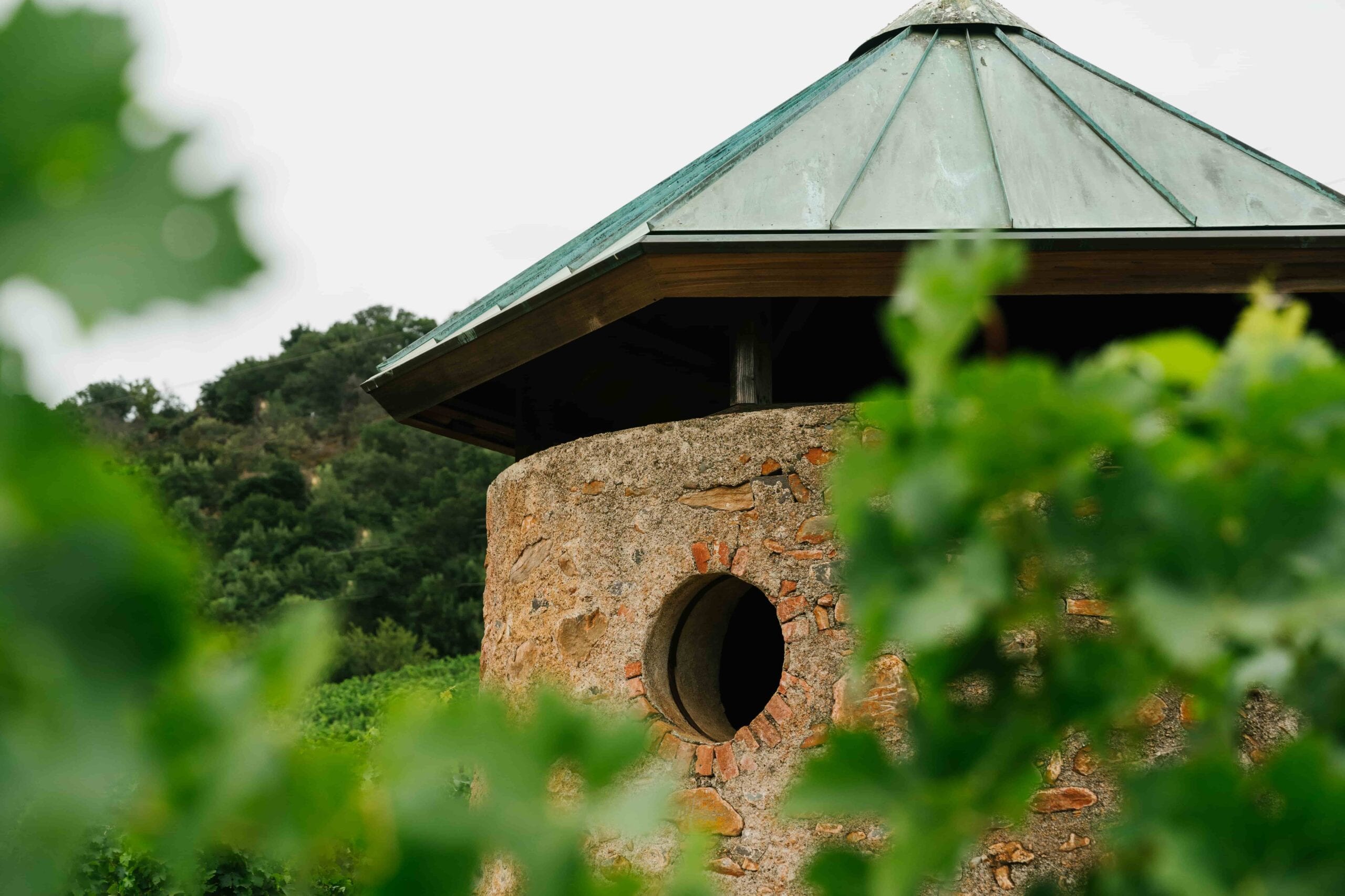 JosephPhelps-July2025-51-min