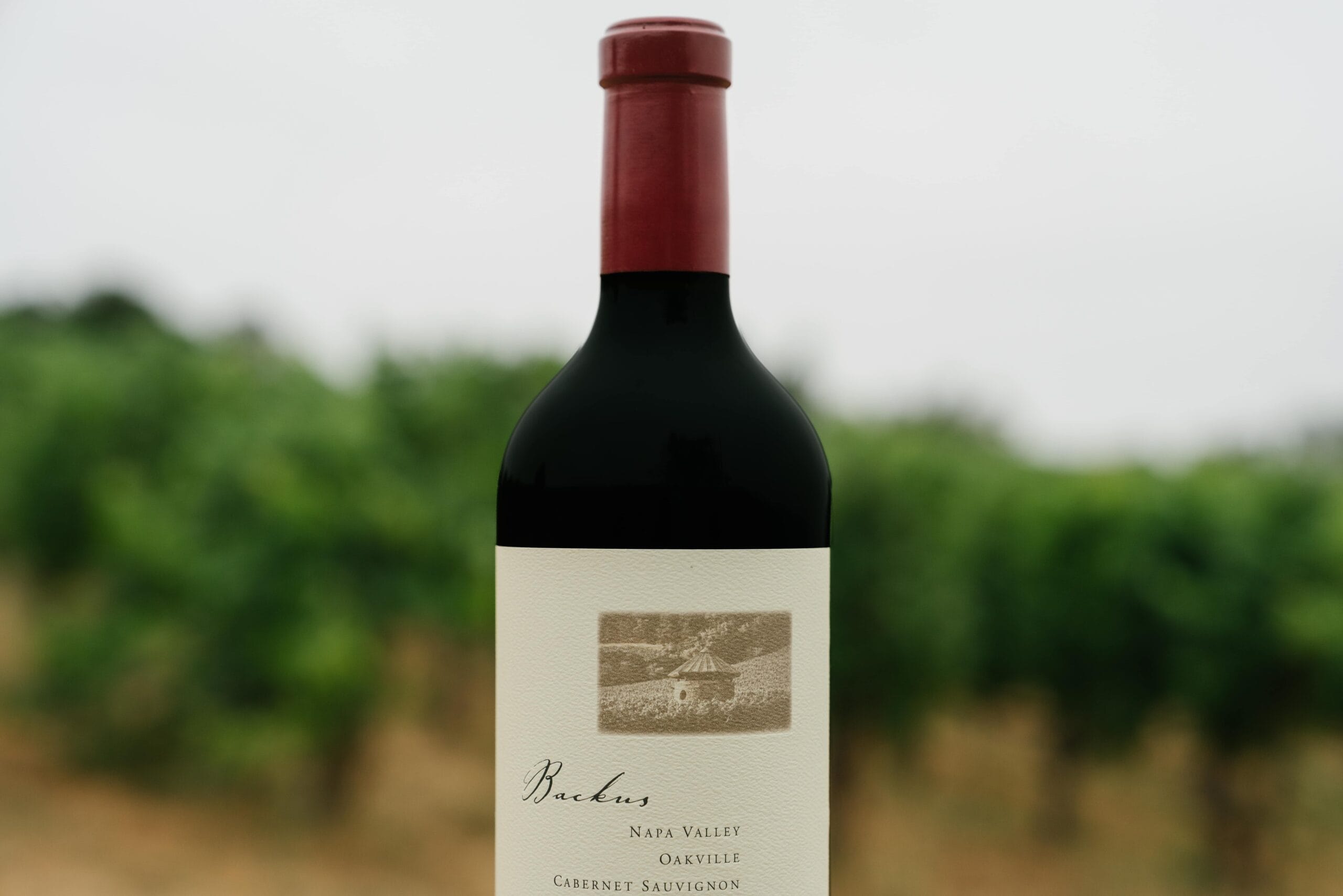 JosephPhelps-July2025-86-min