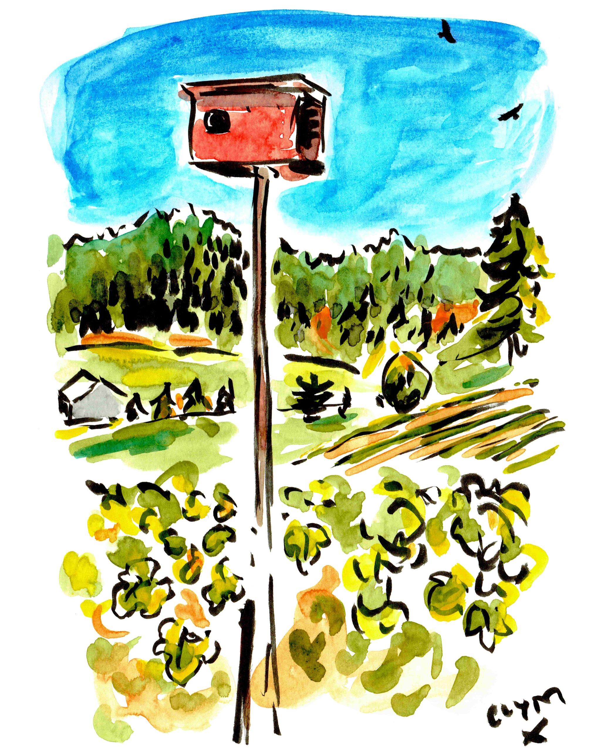 Sonoma Birdhouse-min